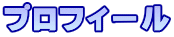 �v���t�B�[��