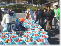 りんごのバケツ売り