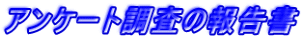 �A���P�[�g�����̕񍐏�